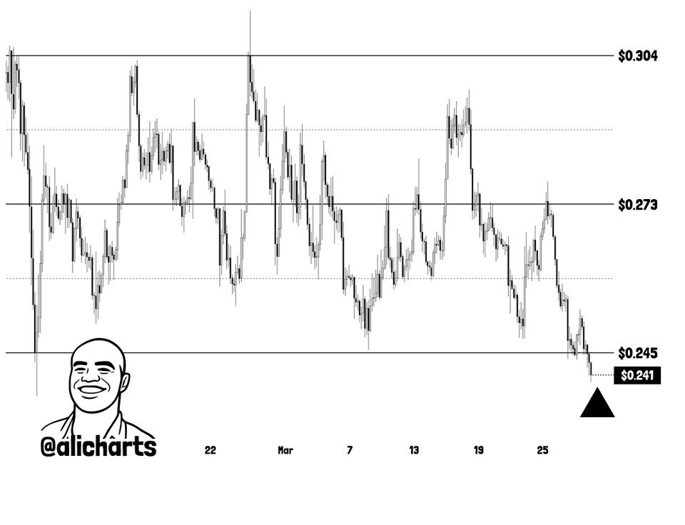 ADA Breaks Below Channel Support as Whales Accumulate 220 Million Coins Into the Decline