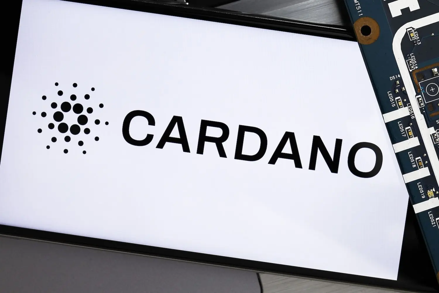 Cardano Whales Grab $53M In ADA But Price Stays Flat