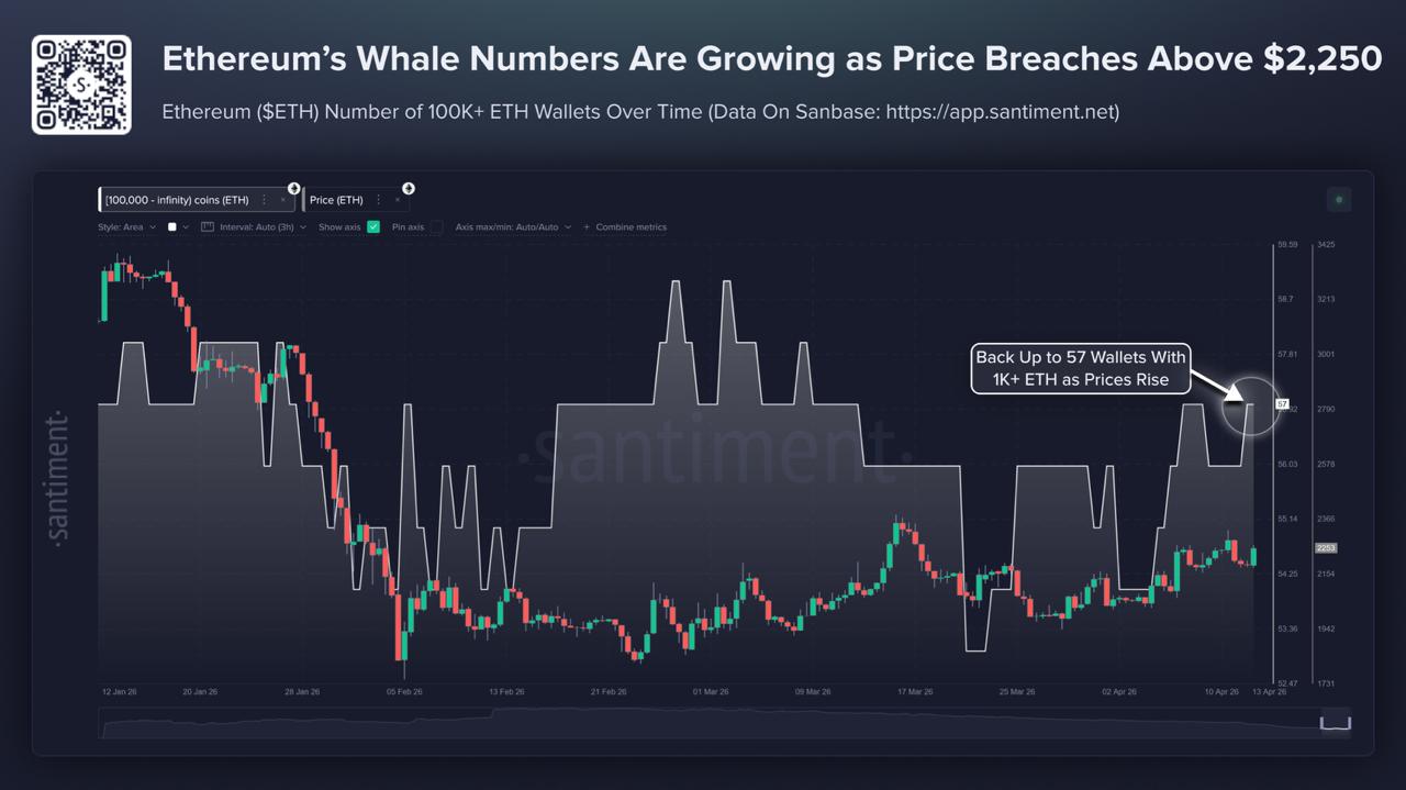 Ethereum Surges 9%: Whales Accumulate While Funding Rates Signal Caution