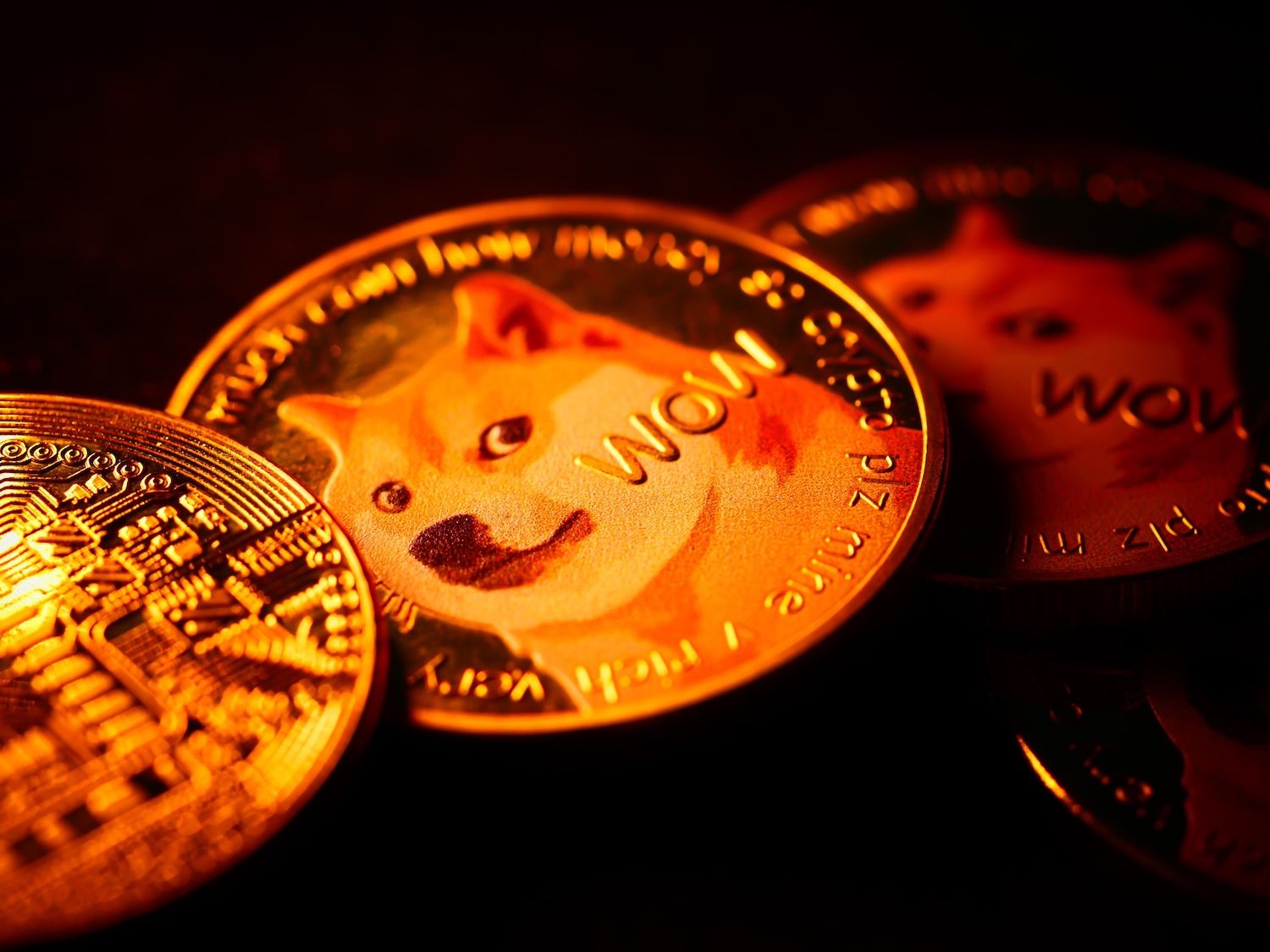 Crypto Narratives Of 2026: Where Real Capital Flows — And Where Hype Dies Crypto Narratives Of 2026: Where Real Capital Flows — And Where Hype Dies