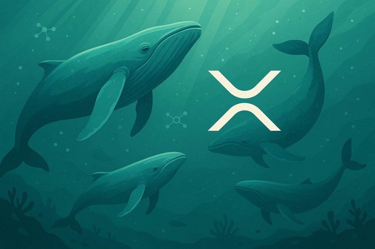 XRP Whale Signal That Preceded 525% and 71% Gains Has Returned