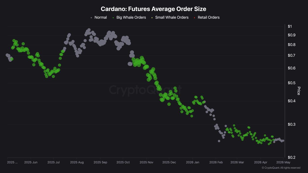 ADA Lost 75% in 6 Months: Here is What Its Biggest Holders Did Every Month