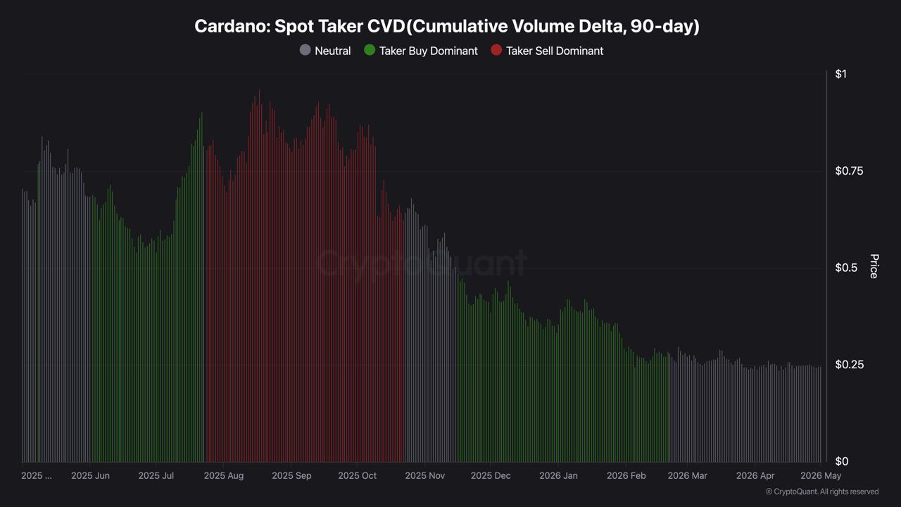 ADA Lost 75% in 6 Months: Here is What Its Biggest Holders Did Every Month