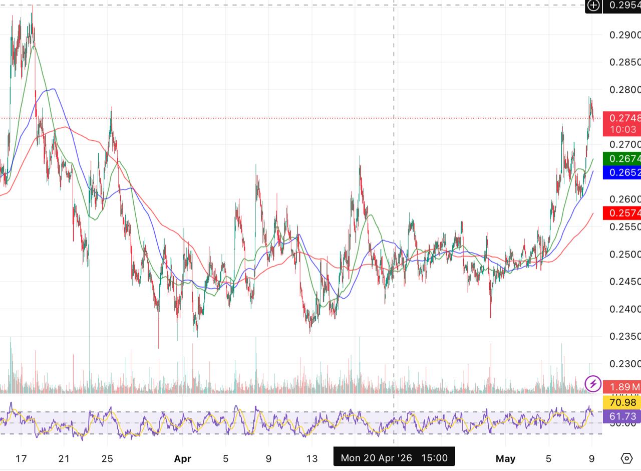 Cardano Rallied to Its March Breakdown Zone: RSI Says Watch Out