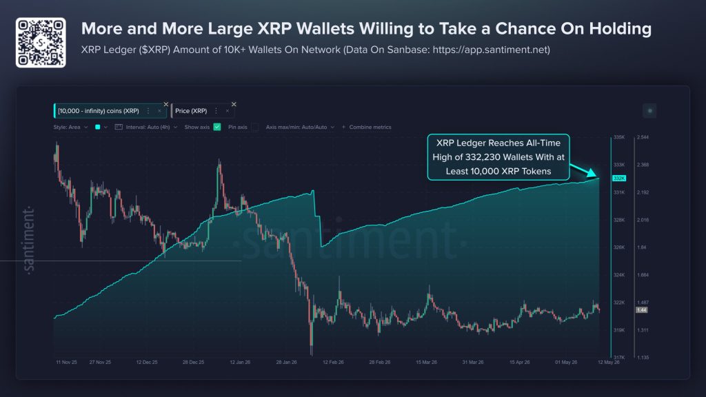 XRP News: Whale Wallets Hit ATH, Why ‘Smart Money’ is Buying the Pullback
