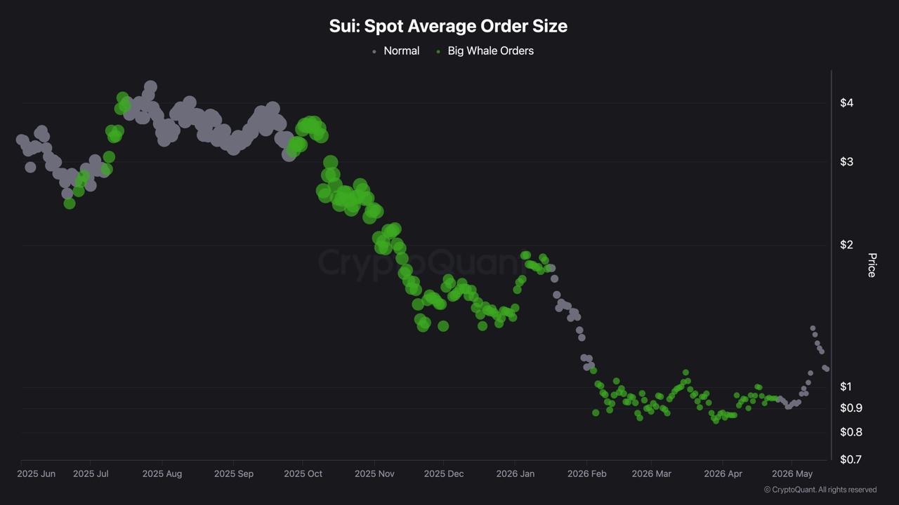 SUI Drops Toward its Whale Zone After Rejecting the May Rally Highs