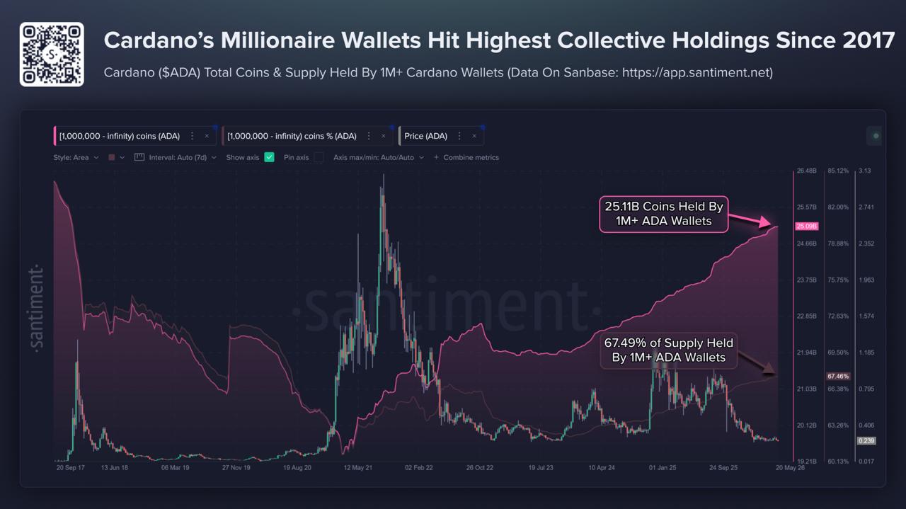 Cardano Is at Its Lowest Price Since 2020: Dead or at the Launchpad?