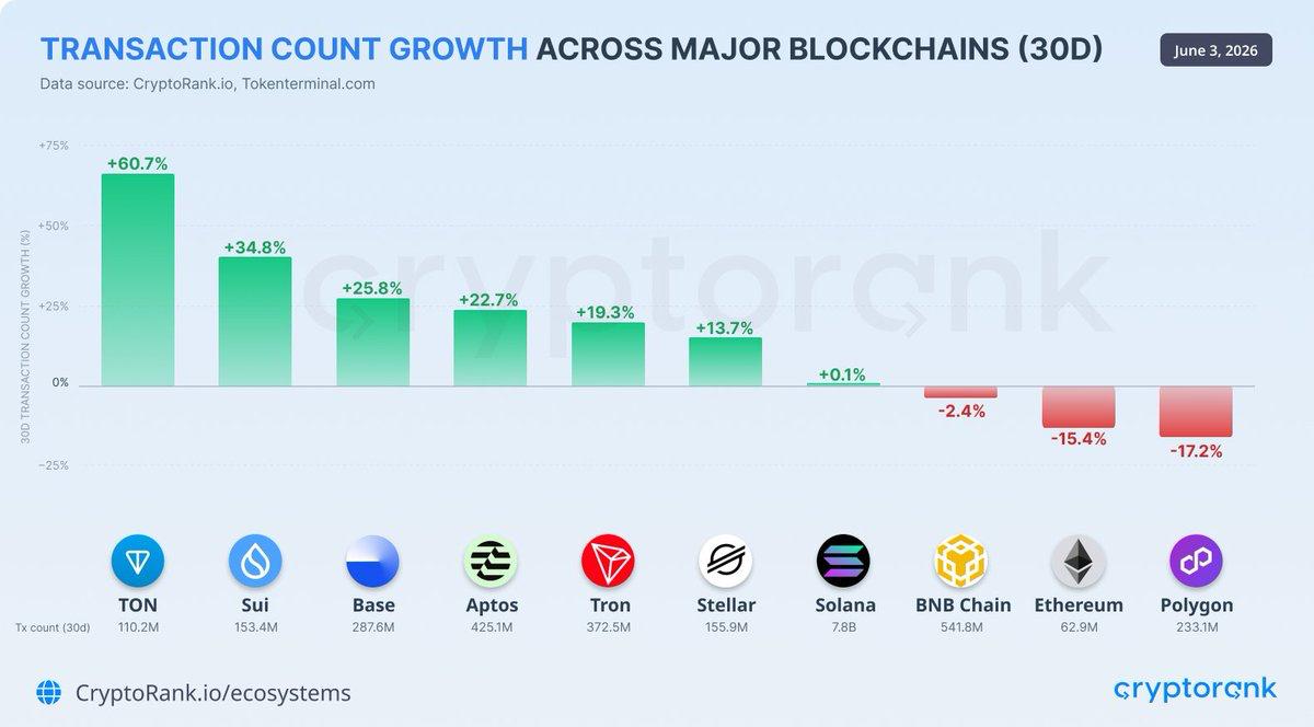 TON, Sui, Base Lead Chain Growth: The Story Behind the Numbers