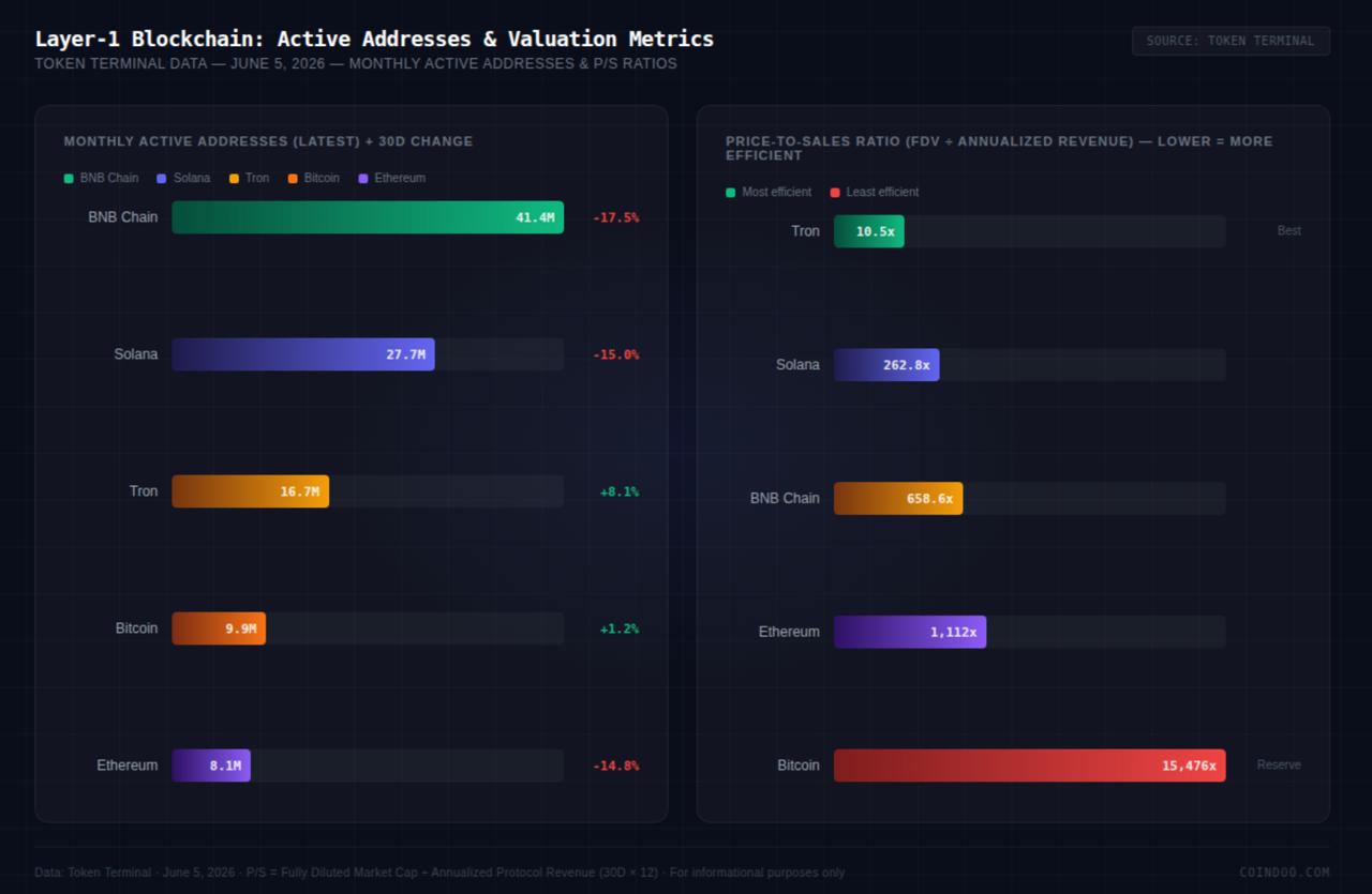 Crypto Valuation Audit: Comparing 2026 Layer-1 Revenues vs. FDV