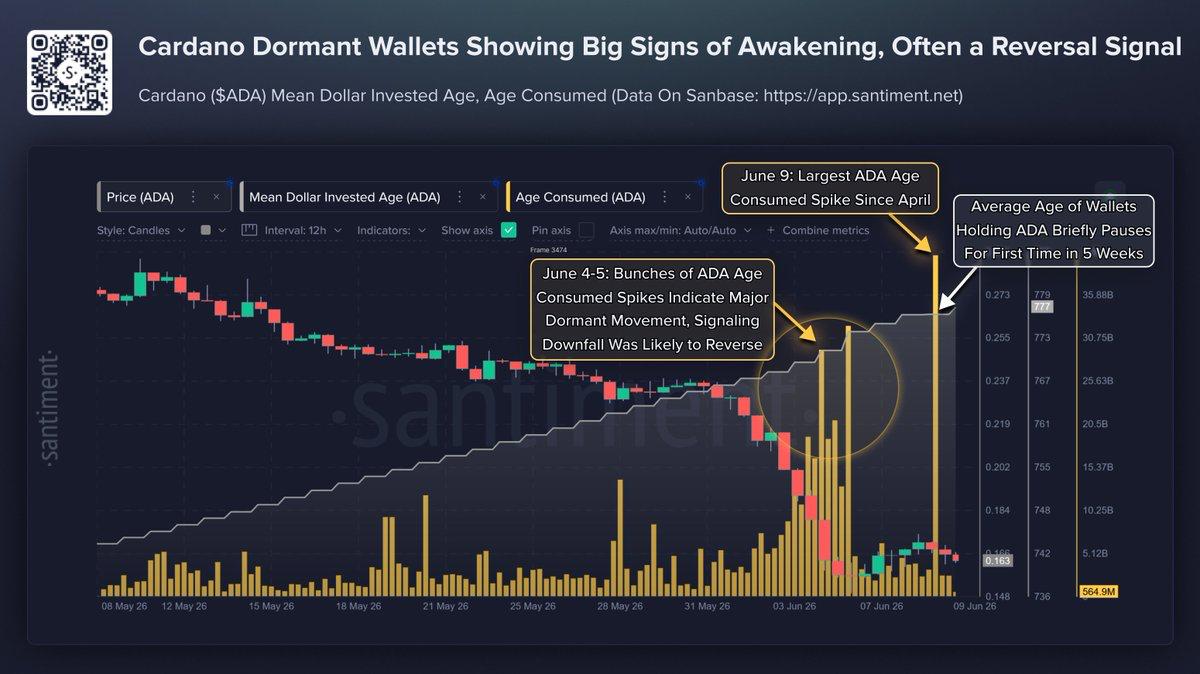 Cardano's Boldest Claims Meet Its Lowest Price in Years Cardano's Boldest Claims Meet Its Lowest Price in Years