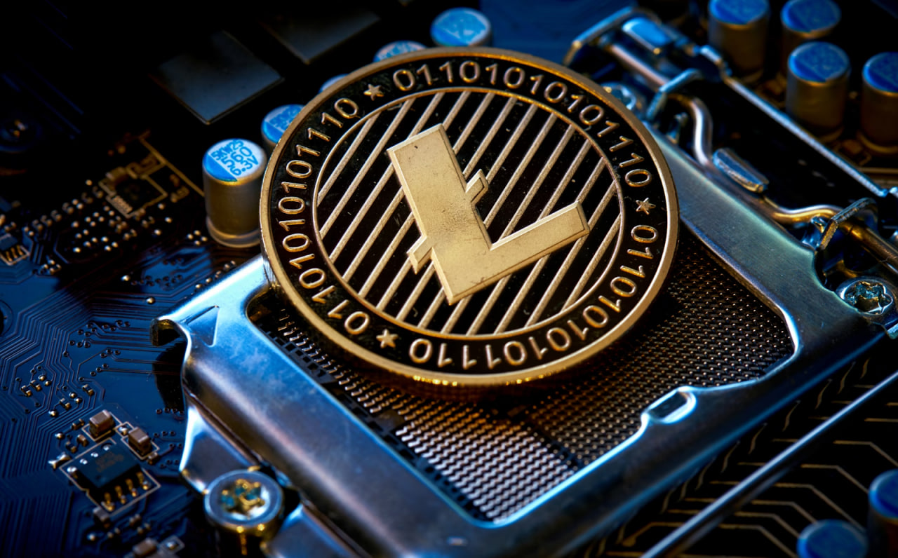 Litecoin Whales Add 7% While LTC Hits Lowest Price Since 2022