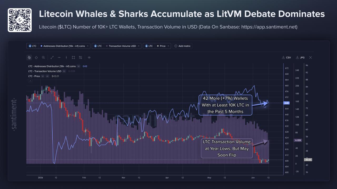 Litecoin Whales Add 7% While LTC Hits Lowest Price Since 2022