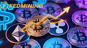 FEDMINING related news and market research