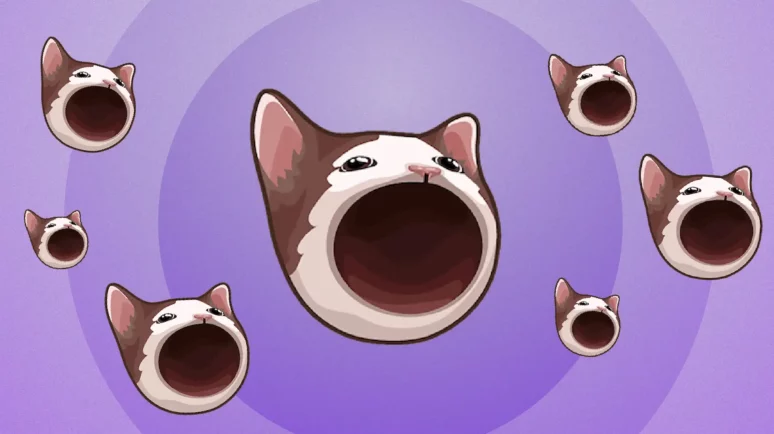 Popcat related news and dynamics research