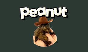 What is the price of Peanut the Squirrel coin? Does it have 