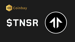 What is the price trend of Tensor? Is it worth investing in?