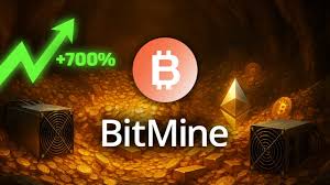 What is BitMine? How does it work?