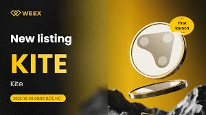 What is KITE in the cryptocurrency world? How does KITE work