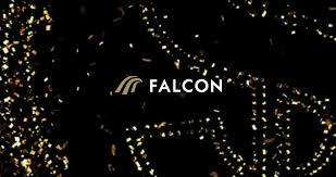 What is the price of Falcon? Is Falcon a good investment?