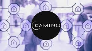 What is the price of Kamino tokens? Is it worth investing in