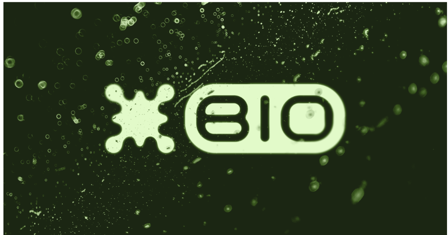 What is the Bio Protocol? How does it work?
