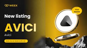 What is the price of the Avici? Is the Avici a good investme