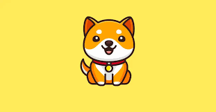 What is the price trend of Baby Doge Coin? Is it worth investing in?