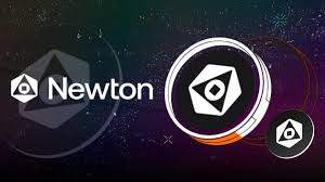 What is the Newton Project? How does it work?