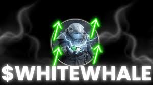 What is the price of WhiteWhale tokens? Is it worth investing in?