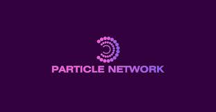 What is a Particle Network? How does it work?