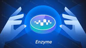 What is Enzyme cryptocurrency? How does Enzyme work?