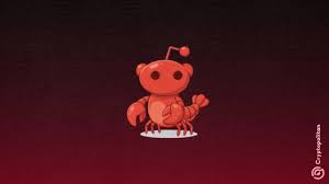 What is a Moltbook? How does it work?